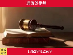 澄江-疑难刑事案件处理